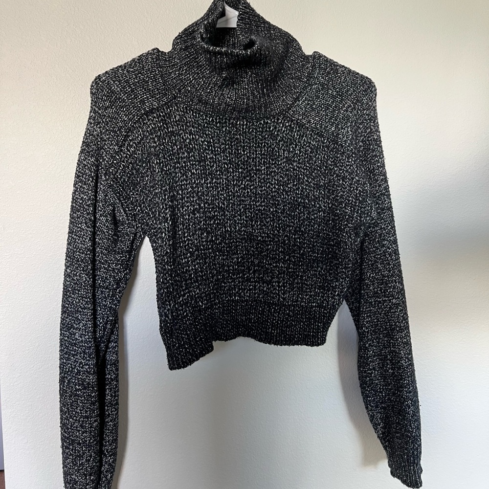 Zara Knit Turtleneck Crop